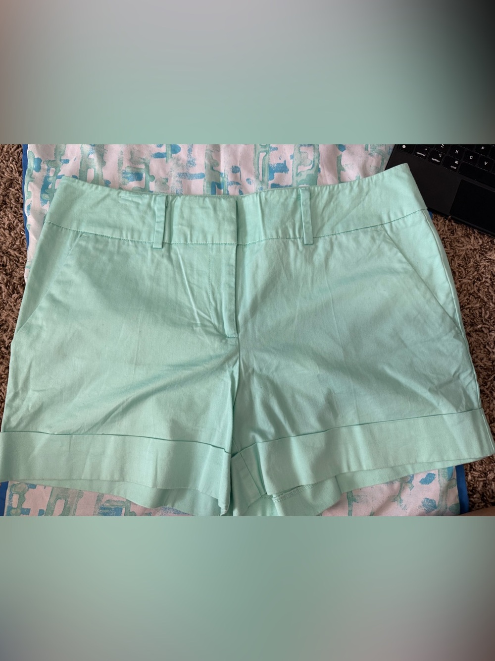 New York & Company Mint Green Tailored Women's Shorts